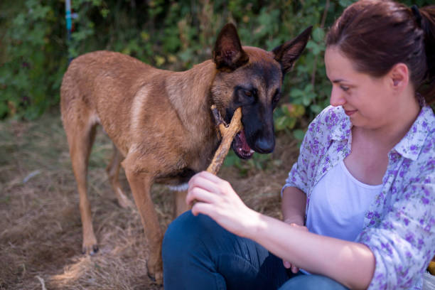 istock girl and dog 1019614764