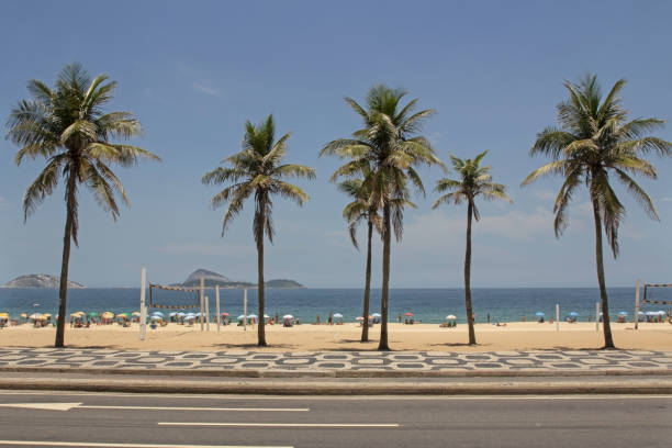istock Palms on the beaches of Rio de Janeiro Brazil 1019616708