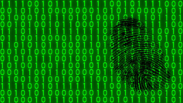 Black fingerprint on digital background of binary code pattern Abstract texture of green 1 and 0 digits. Idea of digitization, software, AI. Finger mark, scan, police. Concept of computer attack, espionage, theft or sabotage in cyber space sabotage stock pictures, royalty-free photos & images