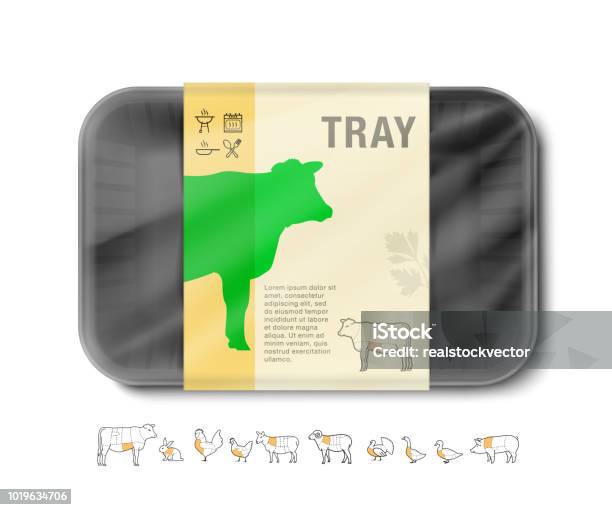 Mockup Template Polystyrene Tray Container With Strip Stock Illustration - Download Image Now