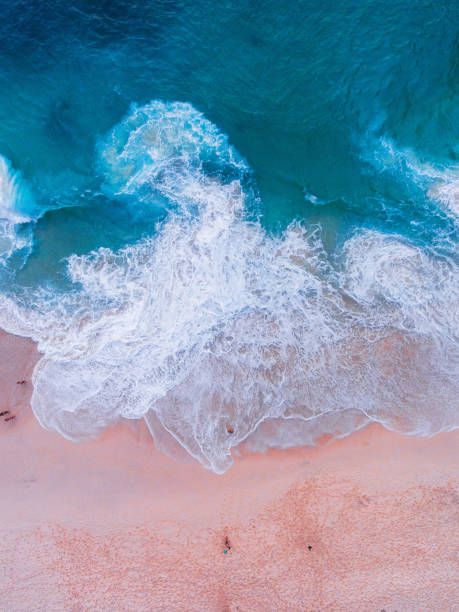 istock Komodo pink beach aerial view 1019639528