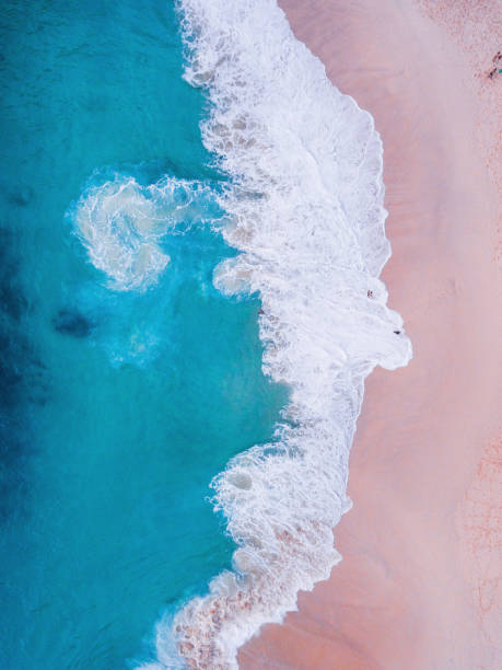 istock Komodo pink beach aerial view 1019639554