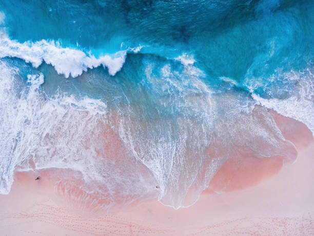 istock Komodo pink beach aerial view 1019639560
