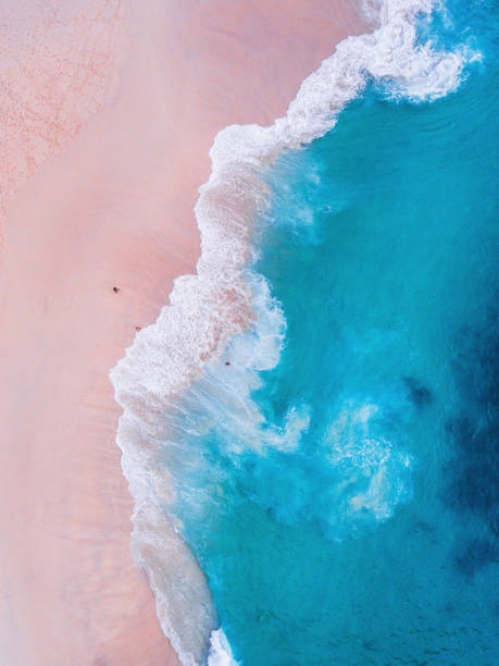 istock Komodo pink beach aerial view 1019639626