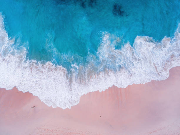 istock Komodo pink beach aerial view 1019639640