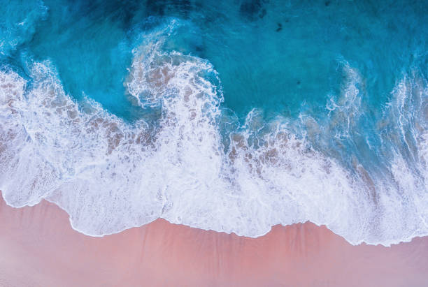 istock Komodo pink beach aerial view 1019639646