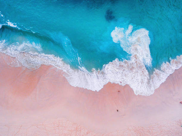 istock Komodo pink beach aerial view 1019639670