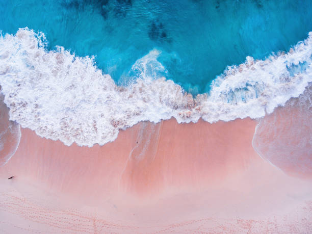 istock Komodo pink beach aerial view 1019639674