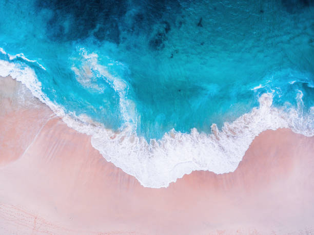 istock Komodo pink beach aerial view 1019639684