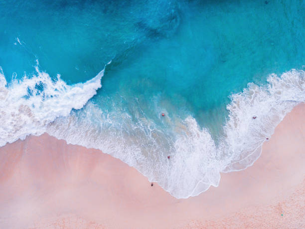 istock Komodo pink beach aerial view 1019639696