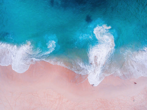istock Komodo pink beach aerial view 1019639698