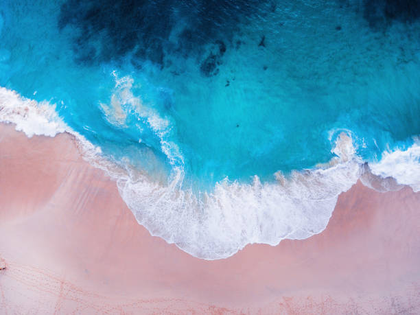 istock Komodo pink beach aerial view 1019639752