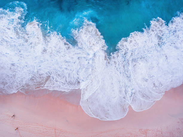 istock Komodo pink beach aerial view 1019639764