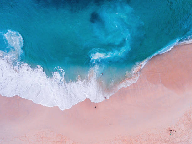istock Komodo pink beach aerial view 1019639774