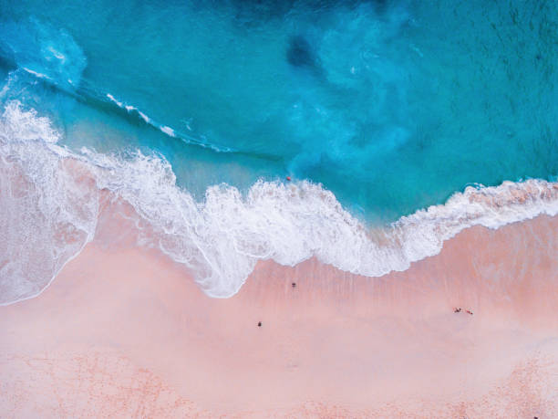 istock Komodo pink beach aerial view 1019639780