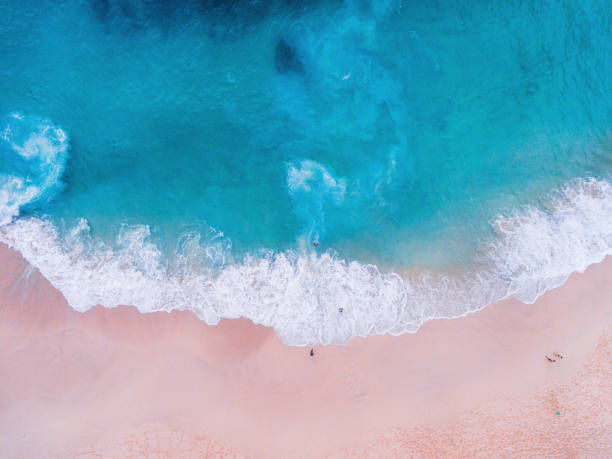 istock Komodo pink beach aerial view 1019639822