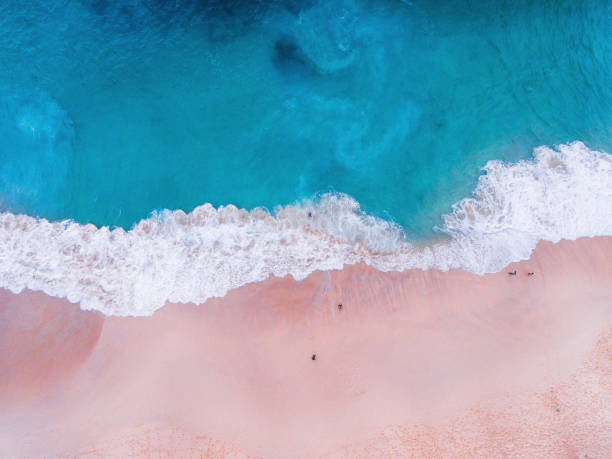 istock Komodo pink beach aerial view 1019639824