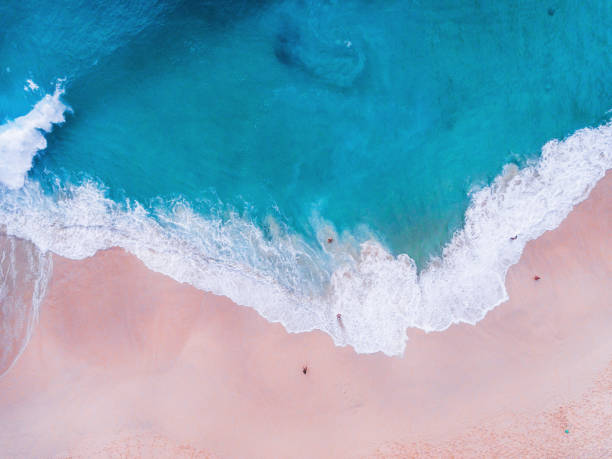 istock Komodo pink beach aerial view 1019639828