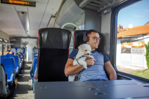istock Young man traveling  by train 1019644454