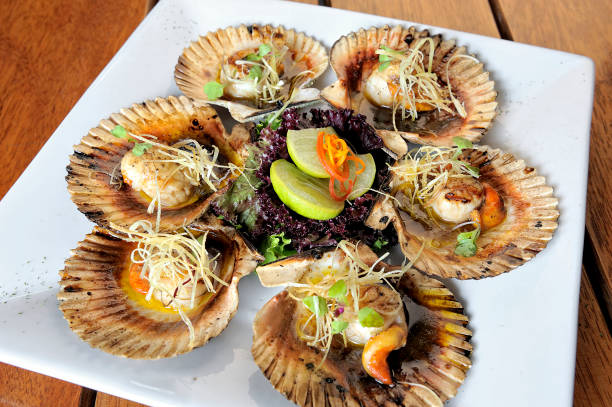 istock Baked parmesan scallops. Typical dish of Peruvian cuisine. 1019651226