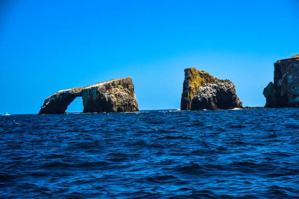 Arch Rock on Anacapa Island Arch Rock on Anacapa Island in the Channel Islands National Park off the coast of Ventura, California anacapa island stock pictures, royalty-free photos & images
