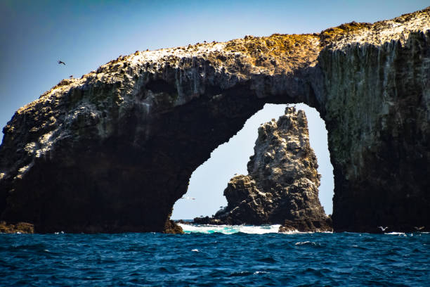 Arch Rock on Anacapa Island Arch Rock on Anacapa Island in the Channel Islands National Park off the coast of Ventura, California anacapa island stock pictures, royalty-free photos & images