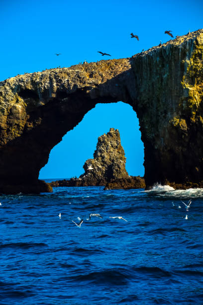 Arch Rock on Anacapa Island in the Channel Islands National Park off the coast of Ventura, California