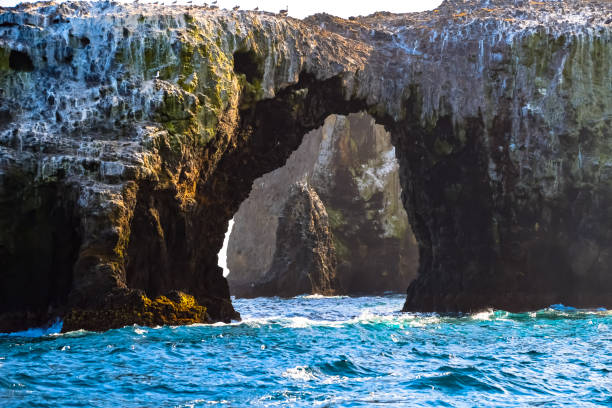 istock Arch Rock on Anacapa Island 1019670842