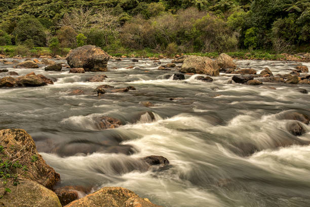istock Rough river Rapids in the gorge through the forest 1019673336