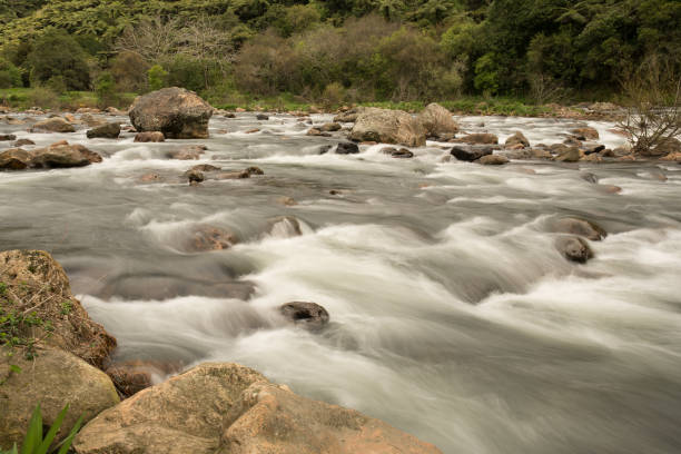 istock Rough river Rapids in the gorge through the forest 1019673340