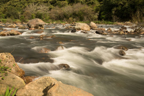 istock Rough river Rapids in the gorge through the forest 1019673618