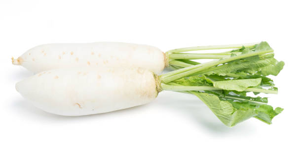 istock daikon radishes isolated on white background 1019673934