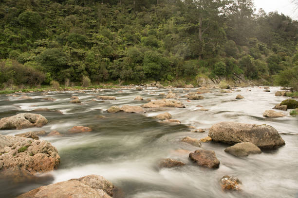 istock Rough river Rapids in the gorge through the forest 1019673952