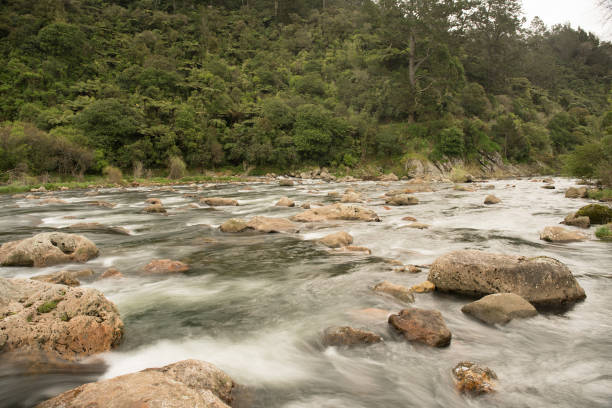 istock Rough river Rapids in the gorge through the forest 1019676380