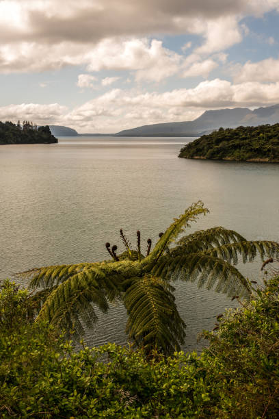 istock Looking down on the lake from up on the hill 1019676734