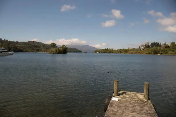 Photo of wooden pier at the lake surrounded by forest