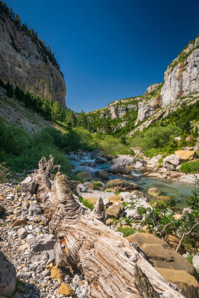 Summer in Anisclo Canyon in spanish Pyrenees stock photo