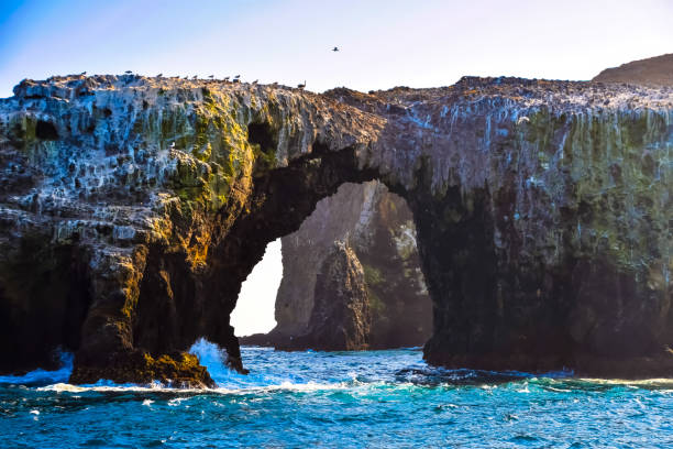 Arch Rock on Anacapa Island Arch Rock on Anacapa Island in the Channel Islands National Park off the coast of Ventura, California anacapa island stock pictures, royalty-free photos & images