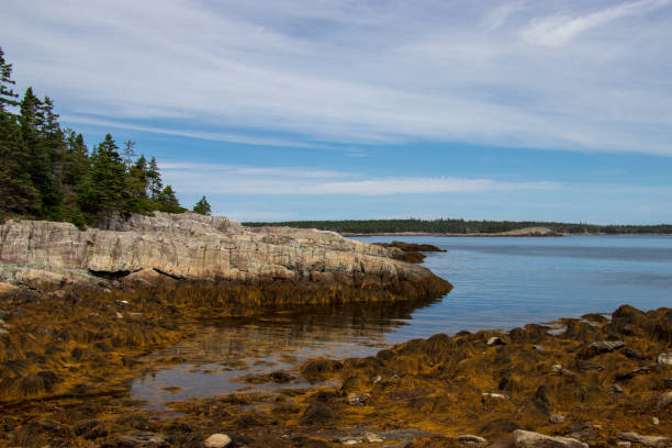 istock Low tide on Middle Island Lunenburg county, Nova Scotia. 1019726868