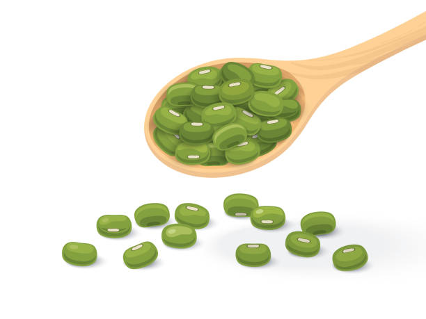 ひよこ豆、緑豆、木のスプーンのフラット デザインで緑色の豆は、白い背景を分離しました。 - 緑豆点のイラスト素材／クリップアート素材／マンガ素材／アイコン素材