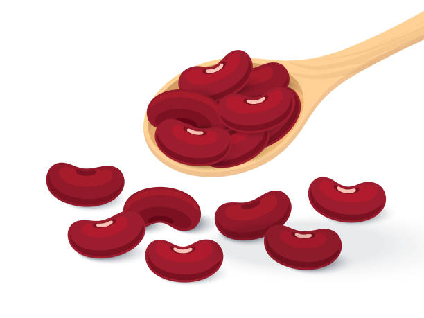 ilustrações, clipart, desenhos animados e ícones de feijão, feijão vermelho, em um design plano de colher de pau, isolado de fundo branco. - feijão vermelho