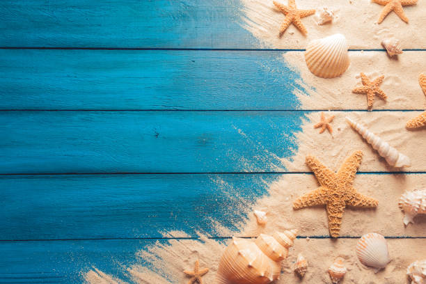 Summertime concept on blue wooden background