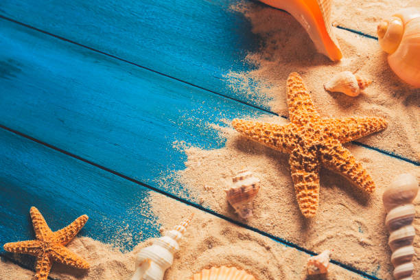 istock Summertime concept on blue wooden background 1019744738