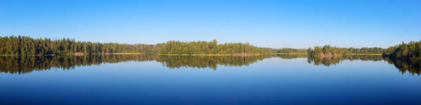 panorama of a forest lake in the calm of a summer day