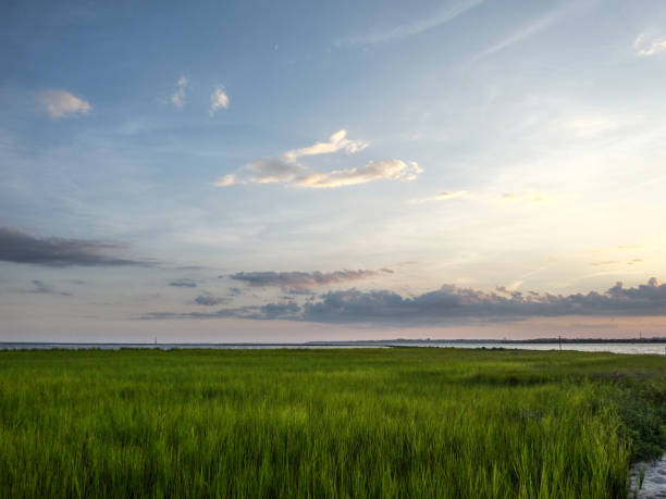 istock Barrier Islands Saltwater Marsh Fort Fisher, NC 1019764788