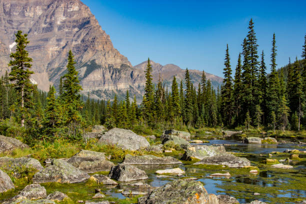 istock A River in Banff National Park 1019764914