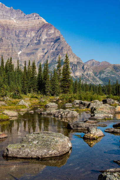 istock A River in Banff National Park 1019765306