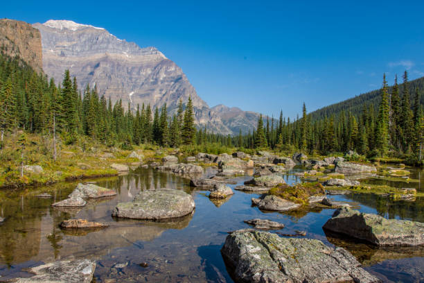 istock A River in Banff National Park 1019767566