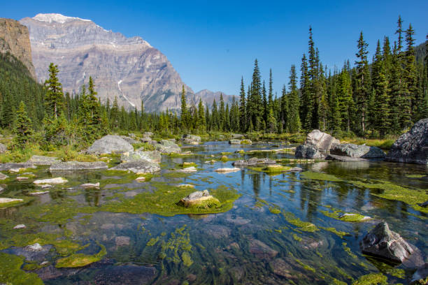 istock A River in Banff National Park 1019767892