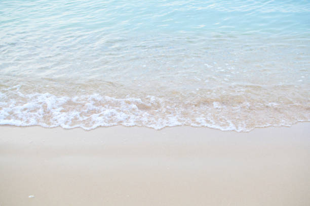The sea with waves hit the sandy beach in the morning, with copy space text